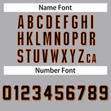 Custom Gray Team Classic Style Authentic Baseball Jersey