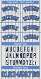 Custom Stripe Fashion Design Full Button Baseball Jersey Add Team Name Number