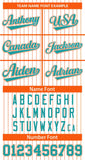 Custom Stripe Fashion Baseball Jersey Design Full Button Stitched/Printed Name Number Baseball Sport Jersey