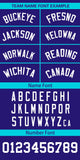 Custom Personalized Logo for Men Color Block Authentic Baseball Jersey