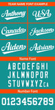 Custom Personalized Color Block Authentic Baseball Jersey Big Size