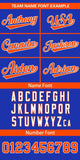 Custom Personalized Color Block Authentic Baseball Jersey for Men