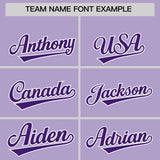 Custom Light Purple Classic Style Authentic Baseball Jersey