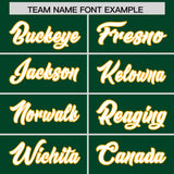 Custom Green Classic Style Authentic Baseball Jersey
