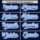Custom Navy Powder Blue Grid Blur Pattern Authentic Baseball Jersey