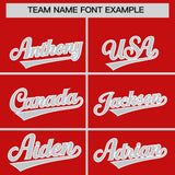Custom Red Silver Grid Blur Pattern Authentic Baseball Jersey