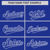 Custom Royal White Grid Blur Pattern Authentic Baseball Jersey
