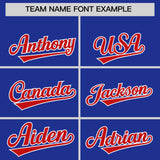 Custom Royal Red Grid Blur Pattern Authentic Baseball Jersey