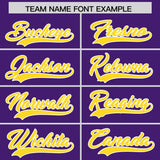 Custom Purple White Grid Blur Pattern Authentic Baseball Jersey