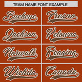 Custom Texas Orange Light Brown Grid Blur Pattern Authentic Baseball Jersey