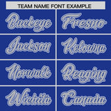 Custom Royal Silver Personalized Color Block Authentic Baseball Jersey