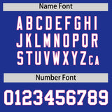 Custom Royal Pink Personalized Color Block Authentic Baseball jersey