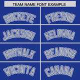 Custom Royal Silver Contrast Raglan Sleeves Authentic Baseball Jersey