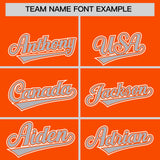 Custom Orange Silver Contrast Raglan Sleeves Authentic Baseball Jersey