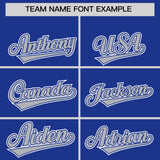 Custom Royal Silver Contrast Raglan Sleeves Authentic Baseball Jersey