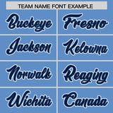 Custom Light Blue Navy Contrast Raglan Sleeves Authentic Baseball Jersey