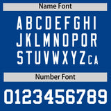 Custom White Royal Pinstripe Personalized Two-Tone Authentic Baseball Jersey