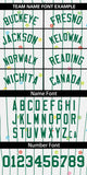 Custom Stripe Fashion Personalized Special style Star Pattern Authentic Baseball Jersey