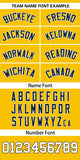 Custom Gradient Side Personalized for Men/Women Star Pattern Authentic Baseball Jersey