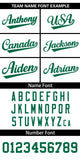 Custom Gradient Side Personalized Star Pattern Authentic Baseball Jersey for Adults