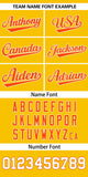 Custom Gradient Side Personalized Star Pattern Authentic Baseball Jersey for Adults