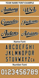Custom Gradient Side Personalized Star Pattern Authentic Baseball Jersey for Adults