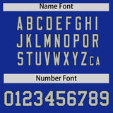 Custom Royal Powder Blue Baroque Style Personalized Baseball Jersey