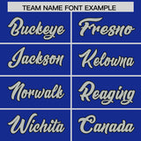 Custom Royal Powder Blue Baroque Style Personalized Baseball Jersey