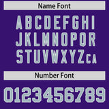 Custom Purple Silver Baroque Style Personalized Baseball Jersey