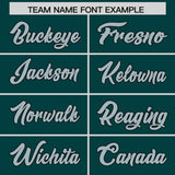 Custom Midnight Green Silver Baroque Style Personalized Baseball Jersey