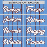 Custom Powder Blue Burgundy Stripe Fashion Authentic Baseball Jersey