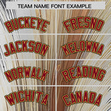 Custom Crimson Old Gold Fluid Feather Graffiti Pattern Authentic Baseball Jersey