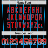 Custom Black Miami City Silhouette Authentic Baseball Jersey