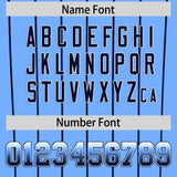 Custom Light Blue Tampa City Silhouette Authentic Baseball Jersey