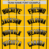 Custom Yellow Pittsburgh City Silhouette Authentic Baseball Jersey