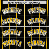 Custom Black Pittsburgh City Silhouette Authentic Baseball Jersey