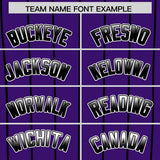 Custom Purple Denver City Silhouette Authentic Baseball Jersey