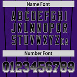 Custom Purple Denver City Silhouette Authentic Baseball Jersey