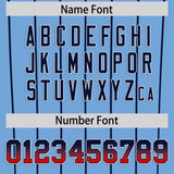 Custom Powder Blue Washington City Silhouette Authentic Baseball Jersey