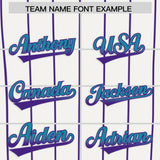 Custom White Charleston.SC City Silhouette Authentic Baseball Jersey