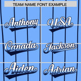 Custom Light Blue Tampa City Silhouette Authentic Baseball Jersey