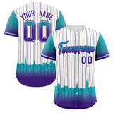 Custom White Charleston.SC City Silhouette Authentic Baseball Jersey