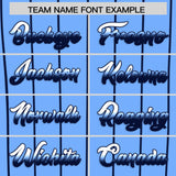 Custom Light Blue Tampa City Silhouette Authentic Baseball Jersey