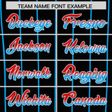 Custom Black Miami City Silhouette Authentic Baseball Jersey