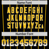 Custom Black Pittsburgh City Silhouette Authentic Baseball Jersey