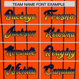 Custom Orange Houston City Silhouette Authentic Baseball Jersey