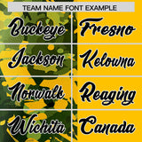 Custom Yellow Green Split Personalized Graffiti Raglan Sleeve Authentic Baseball Jersey
