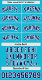Custom Clssic Style Baseball Jersey Gardient Side Printed Name Numbe Button DownBaseball Shirt