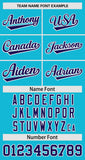 Custom Clssic Style Baseball Jersey Gardient Side Printed Name Number Outfits Jersey
