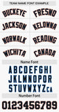 Custom Baseball Jersey Personalized Name Number Raglan Sleeves Lightweight Baseball Tops For Men Women Youth
